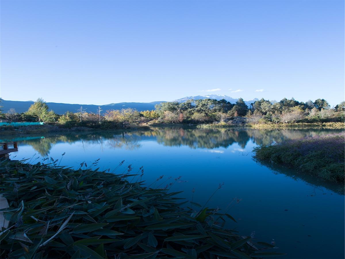 Lijiang Jinmao Wutong Boutique Hotel Baisha エクステリア 写真